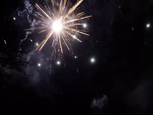 Feuerwerk | Foto: Carola Meyer-Fricke