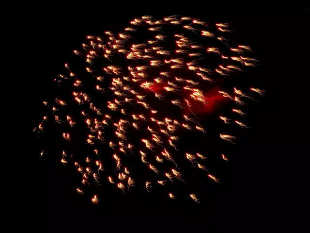 Feuerwerk | Foto: Carola Meyer-Fricke