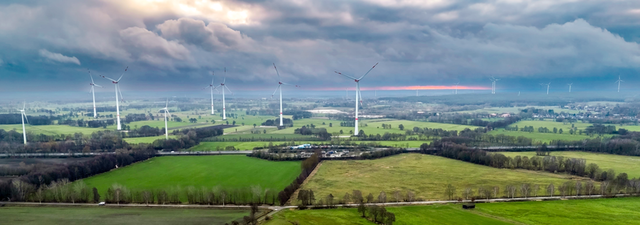 Auf diesen Grundstücken vor dem Rastplatz Grevelau entsteht der Solarpark | Foto: Stadtwerke Winsen/Gregor Szielasko