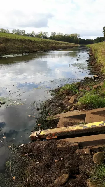 Niedrigwasser aufgrund der Trockenheit im Jahr 2018 am Pegel Bunnen an der Hase | Foto: NLWKN