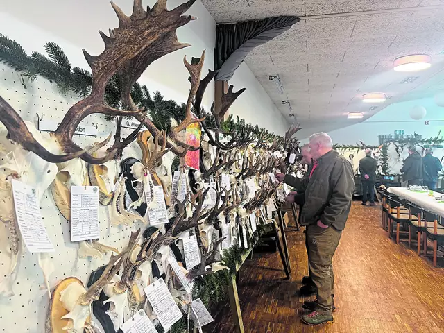 Acht Trophäen erhielten auf der Hegeschau der Jägerschaft des Landkreises Stade eine Auszeichnung  | Foto: sc