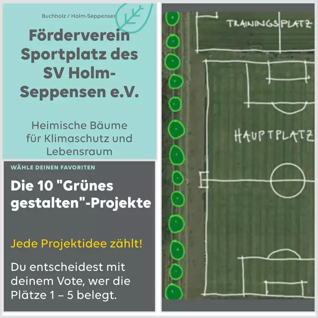 Die Collage zeigt die geplanten Pflanzungen | Foto: Sportplatz SV Holm-Seppensen