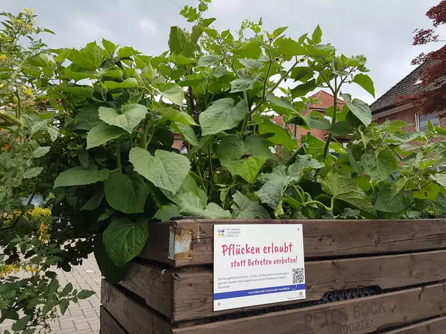 Foto: Miteinander Füreinander
