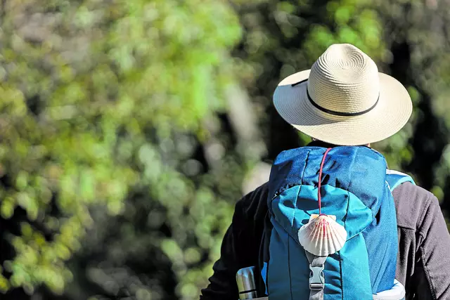 Die Via Baltica hat eine Muschel zum Zeichen. Pilger folgen diesem Symbol auch durch Harsefeld | Foto: AdobeStock / Formatoriginal