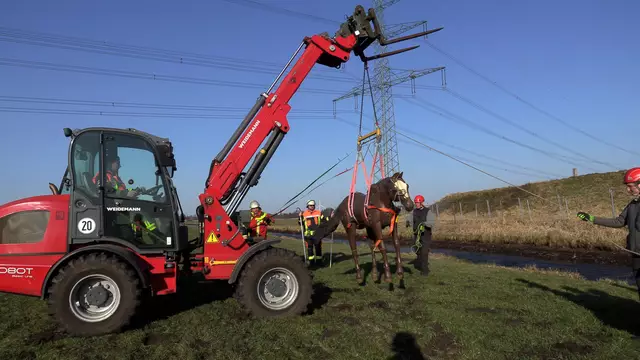 Pferdedummy "Hope" hängt sicher im Tragegurt | Foto: Feuerwehr Moor