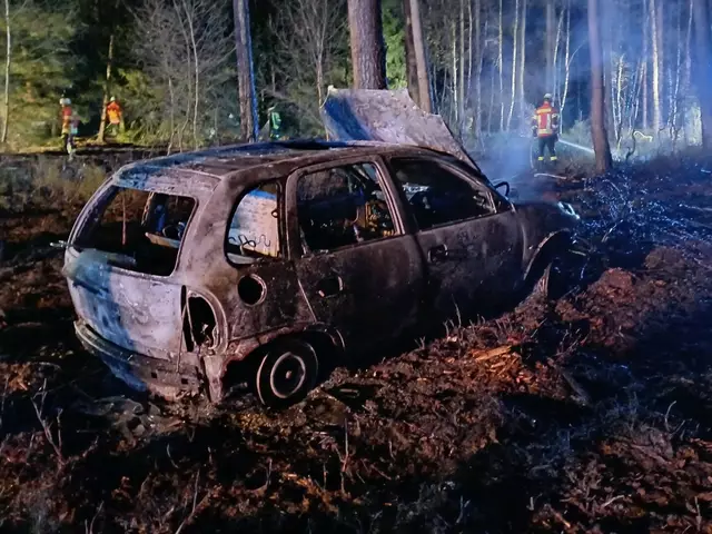 Dieser brennende Pkw hatte den Feuerwehreinsatz ausgelöst | Foto: Pressestelle Feuerwehr Samtgemeinde Hanstedt