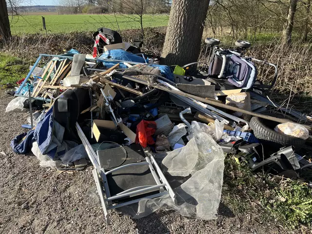 Illegal abgeladener Müll im Fleestedter Weg | Foto: sra 