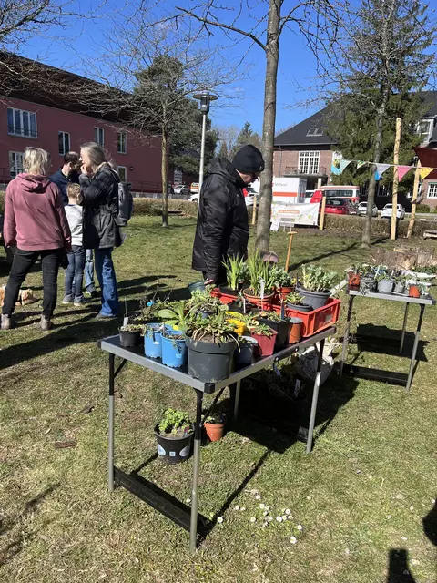 Welche neue Pflanze darf wohl in den Garten einziehen? | Foto: Sandra Polenz