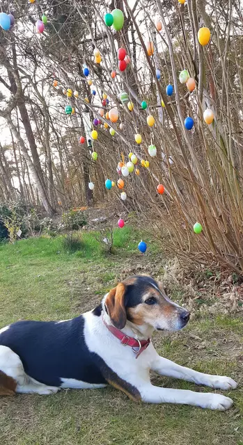 Foto: Sina Rohrer, Wistedt 