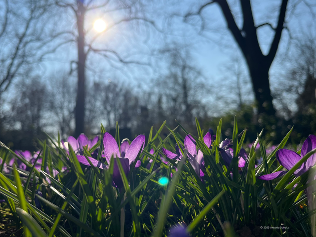 Foto: Antonia Schultz, Neu Wulmstorf