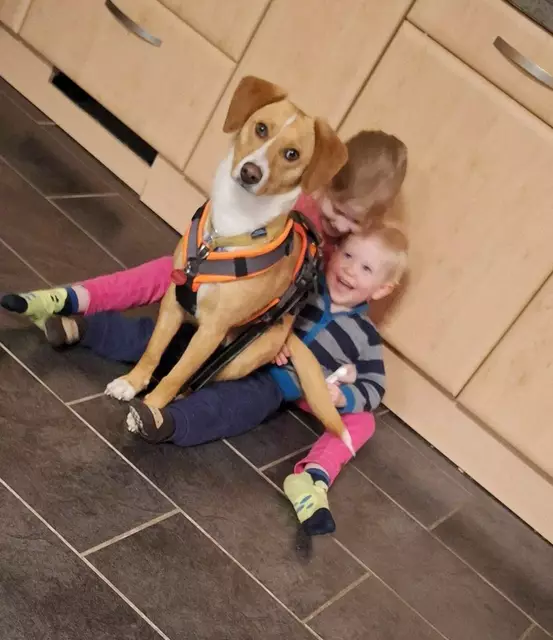 "Der perfekte Freund fürs Leben" | Foto: Flottmann