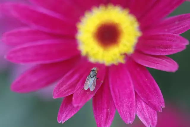 Foto: Natalie Schneider, Buxtehude