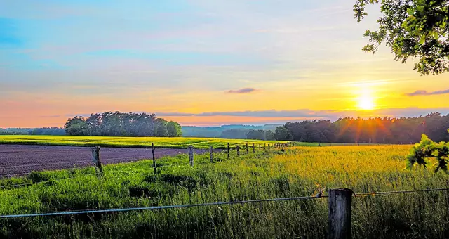 Eine stimmungsvolle Impression - ein Spiel aus Sonne und Grün | Foto: Robert Westmeier, Buxtehude