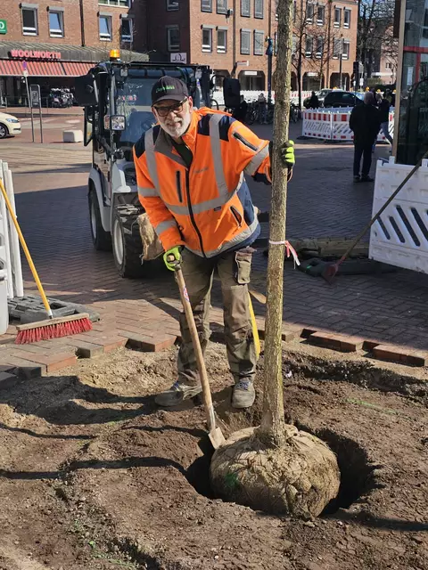Luno Fortunato von der Firma Boymann pflanzt eine der Eichen am Rande des Peets Hoff | Foto: Stadt Buchholz