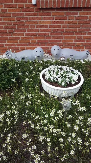 Foto: Jan Tychsen, Apensen