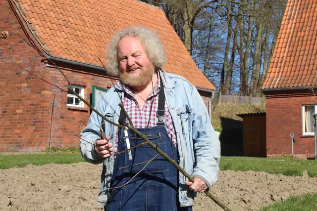 Experte Eckart Brandt gibt dem Baum den "letzten Schliff" | Foto: pm