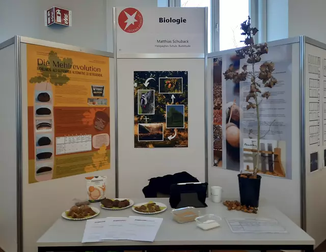 Matthias Stand bei "Jugend forscht" | Foto: Matthias Schuback