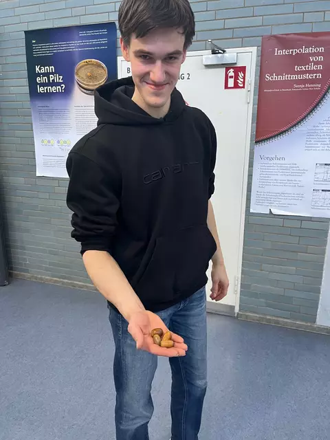 Immer eine handvoll Eicheln im Gepäck - Matthias Schuback lebt seine Leidenschaft | Foto: Sandra Polenz