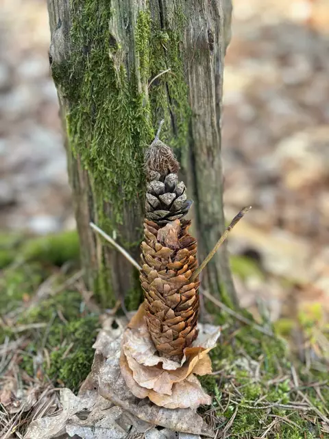 Die Kinder hatten viel Spaß, sich im Wald auszuprobieren | Foto: Landesforsten/Offermanns