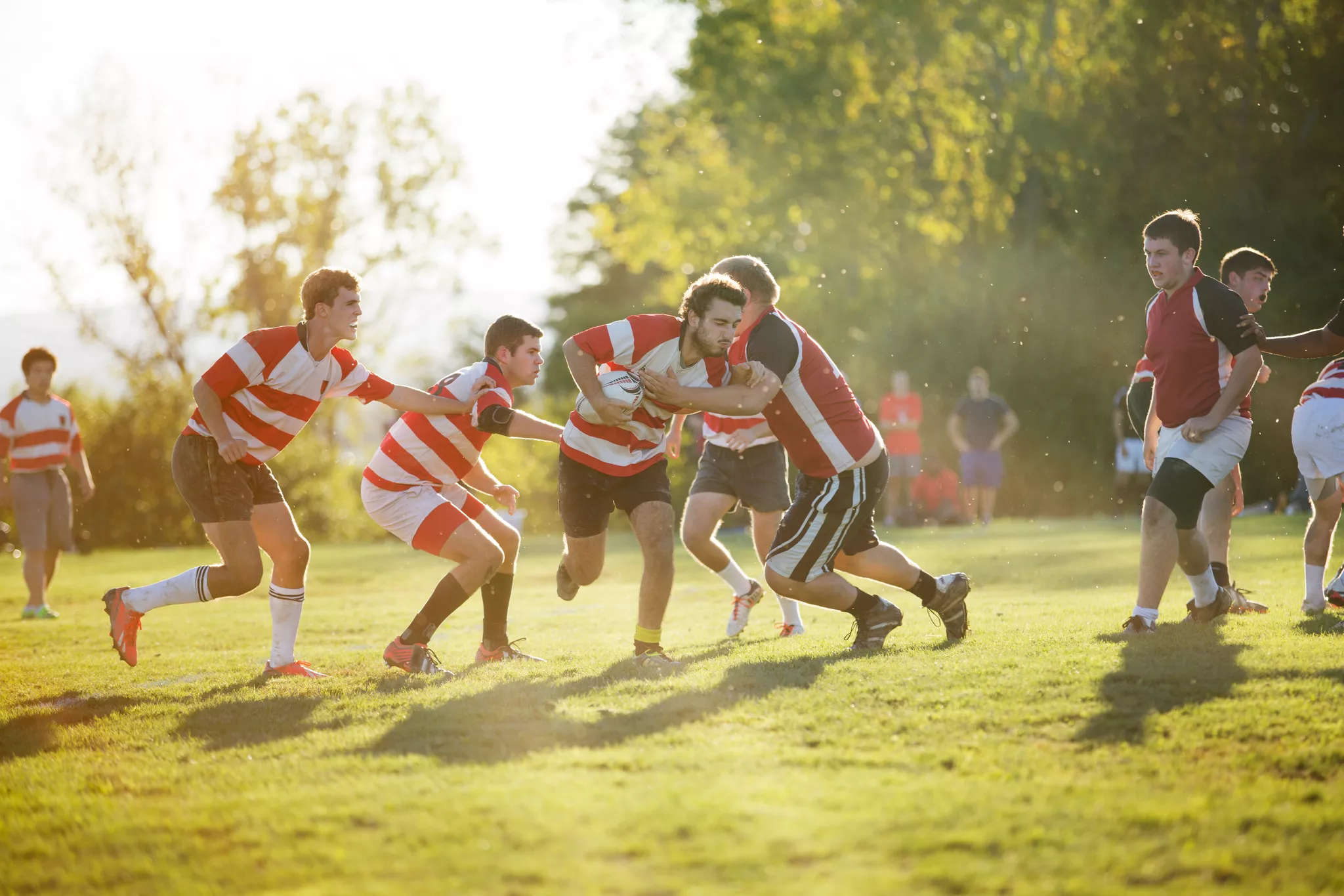 Sports Boom in Stade: 66,000+ Athletes - News Directory 3