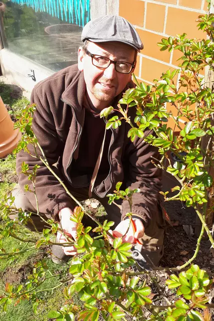 Museumsgärtner Matthias Schuh kennt sich aus mit dem Rosenschnitt.