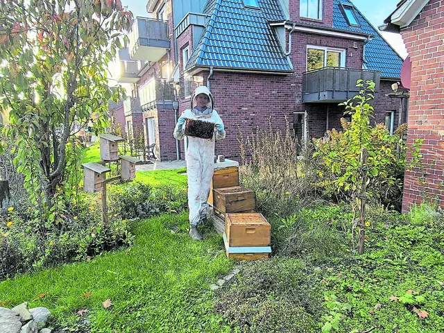Finn Reinkemeier kümmert sich um seine Bienenvölker | Foto: privat