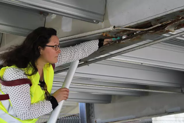 Sorgfältig werden die Attrappen platziert | Foto: ab