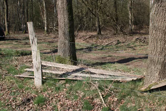 Dieses Tor wurde komplett rausgerissen und liegt seitdem am Boden | Foto: ab