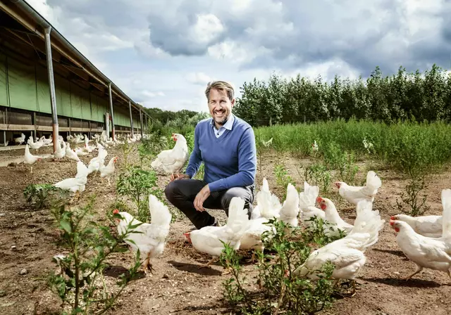 Henner Schönecke mit weißen Hühnern, die auch weiße Eier legen  | Foto: Dan Hannen / Geflügelhof Schönecke