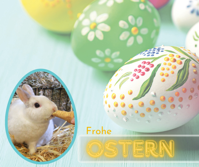 Das WOCHENBLATT wünscht frohe Ostern und stellt einige der niedlichen Langohren im Tierheim Buchholz vor: die warten auf ein liebevolles Zuhause! | Foto: Montage: Adobe Stock/Africa Studio/pm