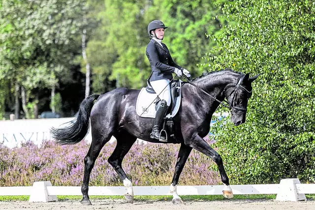 In der Dressur zeigen die eleganten, starken und sensiblen Tiere und ihre Reiterinnen und Reiter ihr Können | Foto: Reit- und Fahrverein Nordheide