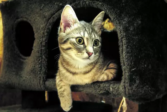 Symbolbild | Foto: Gajewsky