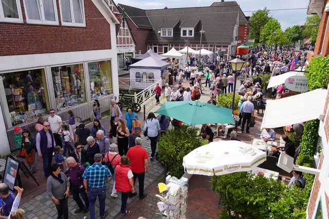 Foto: pixels-best Imke Lohmann