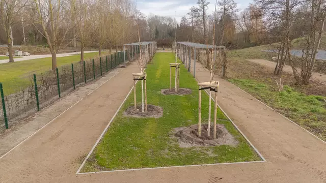 Das im März aufgenommene Foto zeigt den Bereich am südlichen Eingang des Eckermannparks rund um die nun gepflegten Clematis-Arkaden | Foto: Stadt Winsen