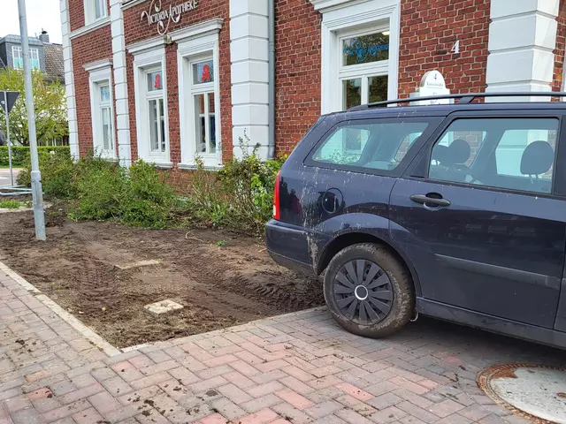 Der Ford Focus überfuhr zwei Verkehrszeichen sowie einige Büsche, bevor er an der Hauswand zum Stehen kam | Foto: sh