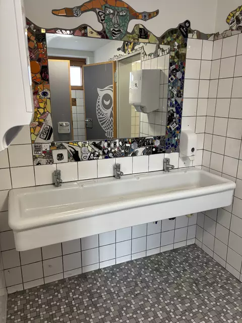 Diese alten Waschbecken in den Toilettenräumen am Gymnasium Winsen wurden jetzt erneuert | Foto: Alina Lambrecht