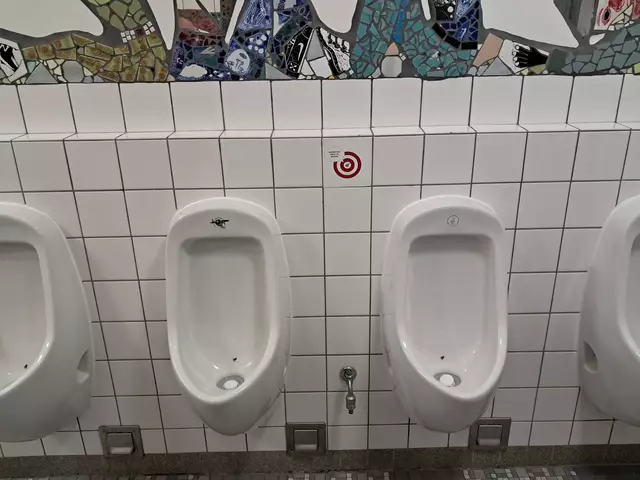 Steht auf der To-do-Liste: Sichtschutz für mehr Privatsphäre zwischen den Urinalen | Foto: Anika Werner