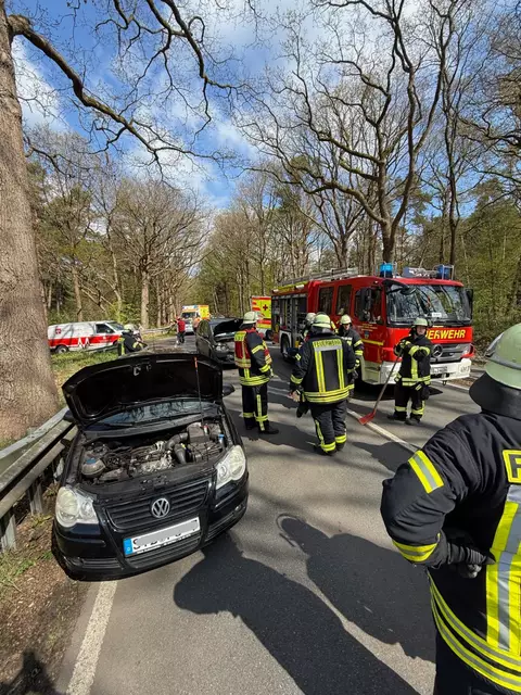Die Unfallstelle | Foto: Frank Ewald/Feuerwehren SG Oldendorf-Himmelpforten