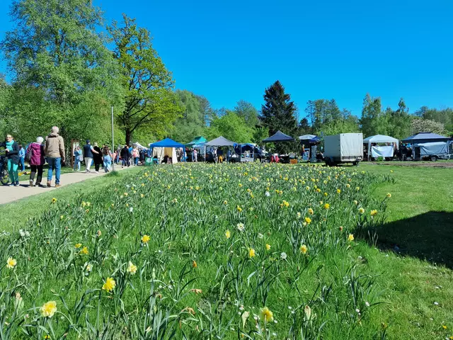 Das Experiment mit einer neuen Sorte Tulpenzwiebel ging leider daneben | Foto: Anika Werner