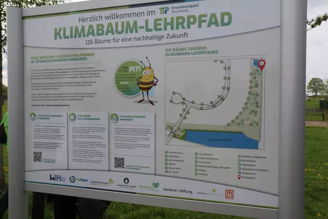 Das Hinweisschild im Klimabaumlehrpfad | Foto: Stadt Buchholz