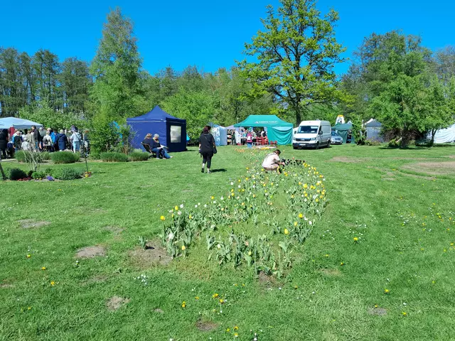 Trotz der bescheidenen Blüte fanden Hobbyfotografen viele schöne Motive | Foto: Anika Werner