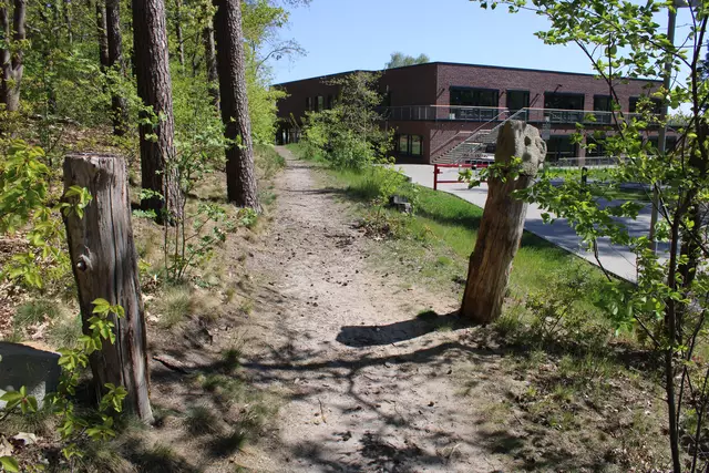 Vom Skulpturenpark am Paaschberg, der auch an der Grundschule vorbeiführt, ist nicht mehr viel übrig: Auf dem rechten Baumstamm steht eine stilisierte Kopf-Plastik. Das Kunstwerk, das einst den linken Stamm zierte, ist verschwunden | Foto: ce