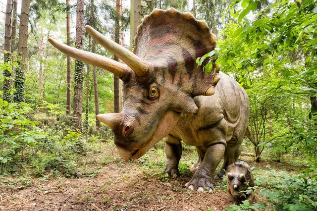 Triceratops mit Jungtier in Lebensgröße in der Dinowelt im Wildpark Schwarze Berge | Foto: Wildpark Schwarze Berge