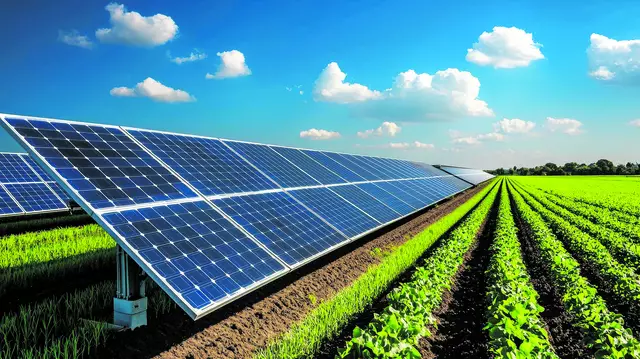 So sehen Photovoltaik-Freiflächenanlagen aus  | Foto: chok