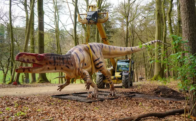 Aufbau - Der Nachbau des Wiehenvenator wiegt 350 Kilogramm und kann nur mit Teleskoplader im Wildpark Schwarze Berge platziert werden | Foto: Wildpark Schwarze Berge