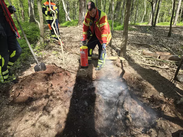 In Maschen brannten etwa fünf Quadratmeter Wald- und Moorboden in einem Waldstück. Die Feuerwehr Maschen löschte das Feuer mit mehreren Kleinlöschgeräten und grub den Brandbereich mit Werkzeugen um. | Foto: Pressestelle Feuerwehr Seevetal 