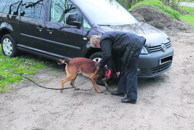 Drogenspürhunde kommen zum Einsatz | Foto: thl