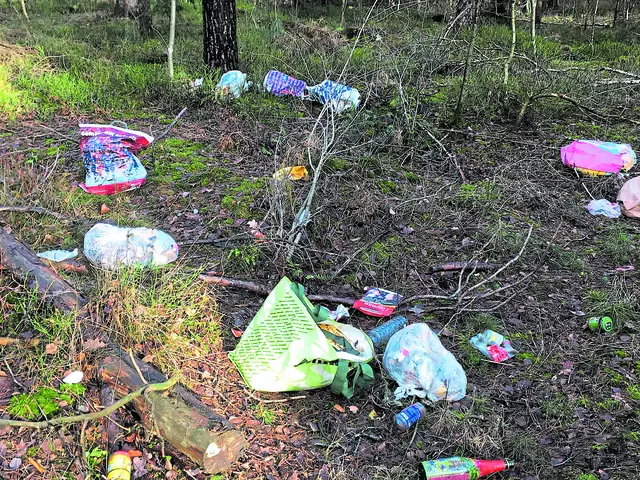 Abfall wird - wie hier in Holm-Seppensen - im Wald entsorgt | Foto: os