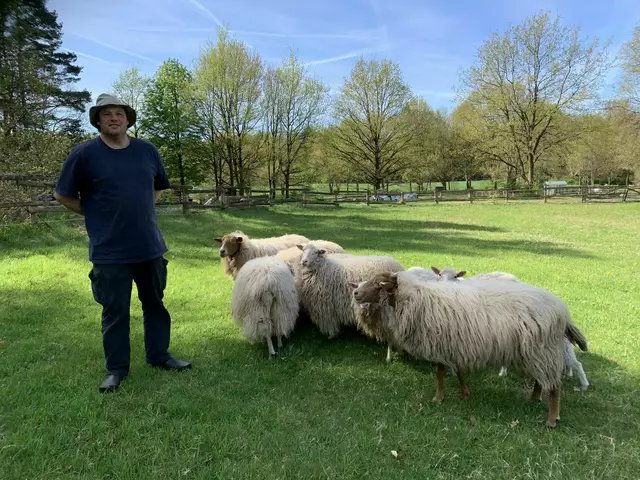 Sebastian Amrhein mit einigen der verbliebenen Moorschafen | Foto: Amrhein