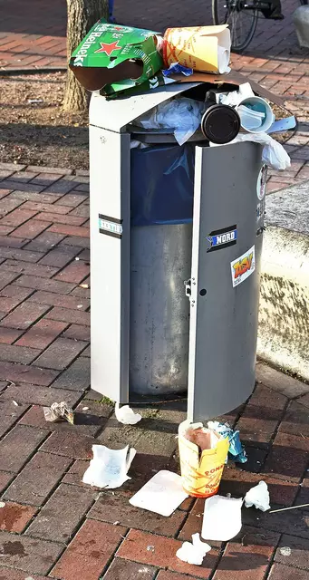 Wenige Meter weiter wäre ein leerer Mülleimer gewesen ... | Foto: Axel-holger Haase